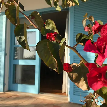 Vila Casa Nova, Algarve, Portugal